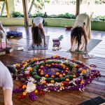 Yoga Flowers circle